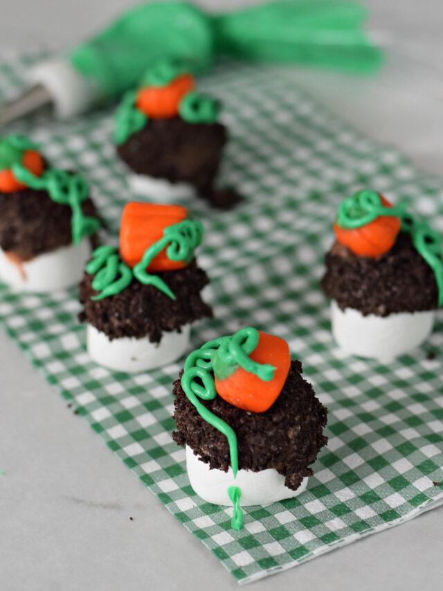 pumpkin patch chocolate covered marshmallows