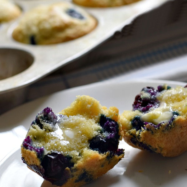 blueberry muffins