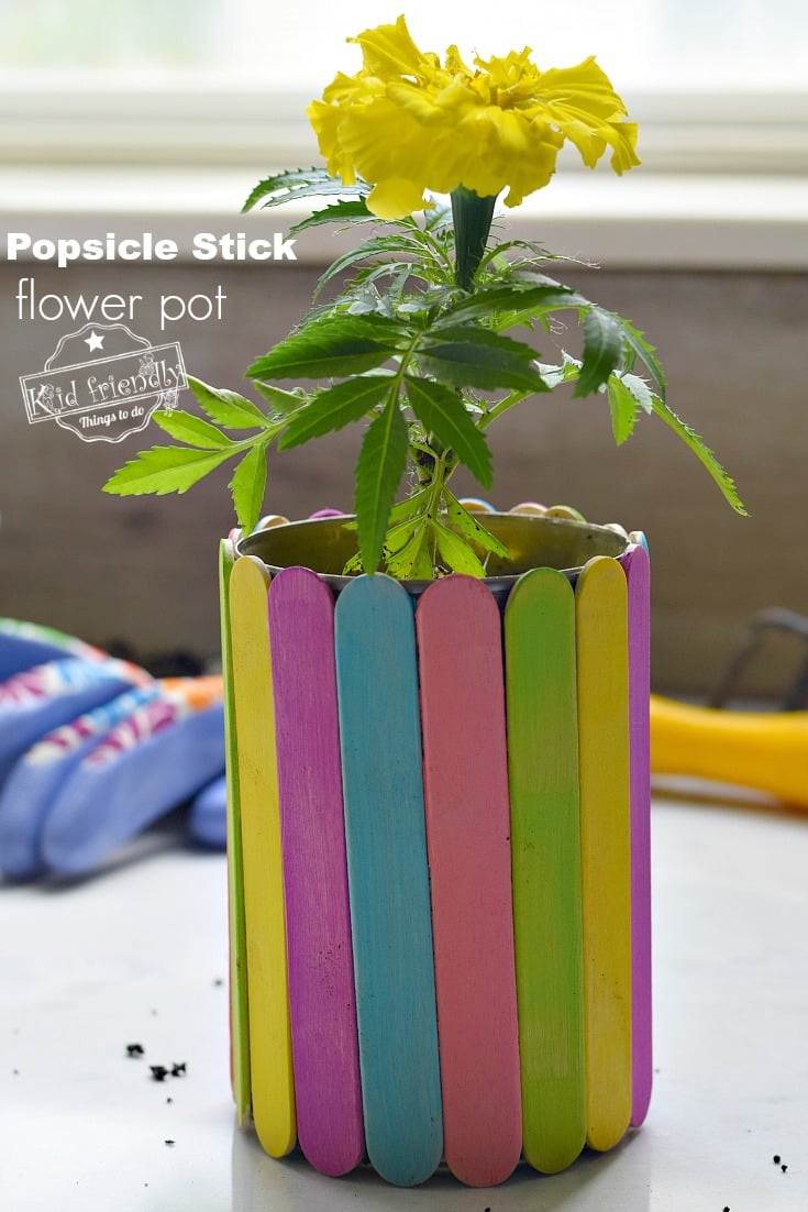 popsicle pompom crafts