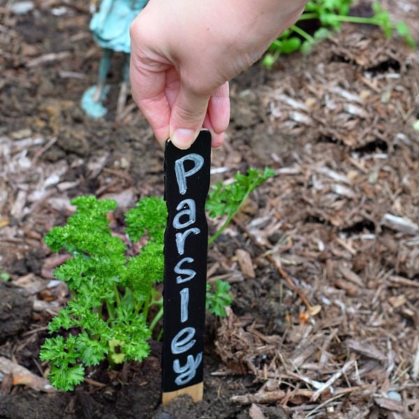 DIY Garden Markers for kids