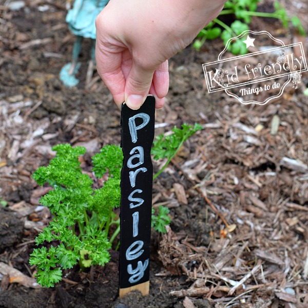 Easy DIY Paint Stick Garden Markers {Gardening with Kids} | Kid Friendly Things To Do