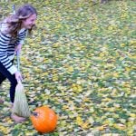 pumpkin sweep Thanksgiving game to play