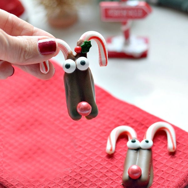 Rudolph Chocolate covered candy canes