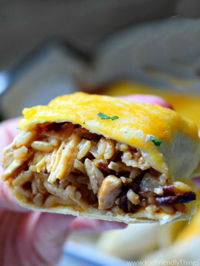 Chicken Burrito Grande (with Rice and Beans) – Story