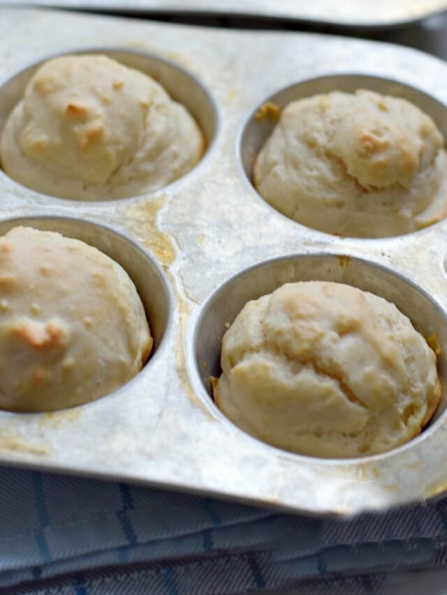no yeast rolls