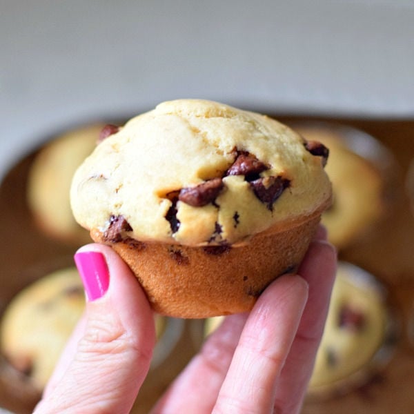 chocolate chip muffins