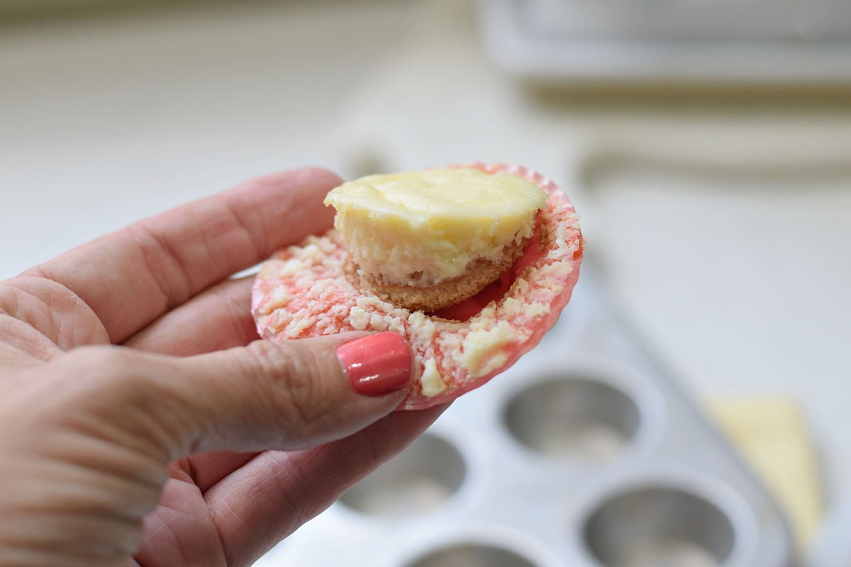 Hand holding a mini cheesecake with the paper liner peeled back to show its vanilla wafer base.