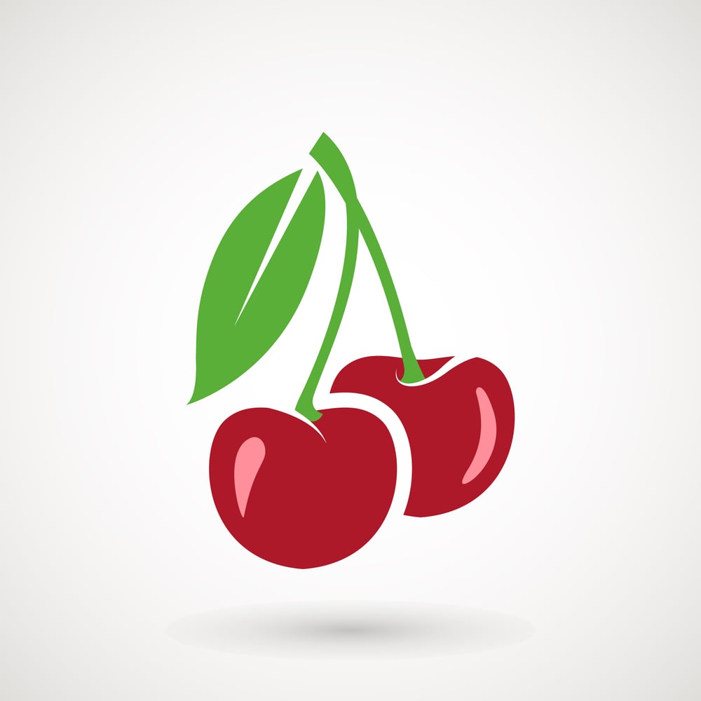 cherry illustration icon 