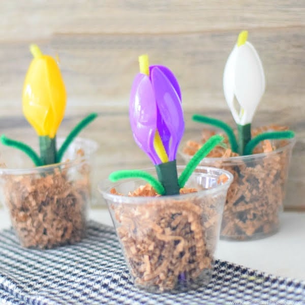 Read more about the article Plastic Spoon Flower Craft