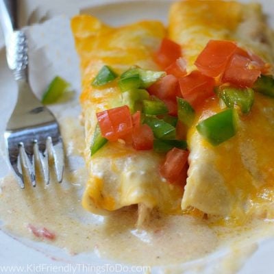 Read more about the article Creamy Chicken Enchiladas with Sour Cream Sauce {The Best!}