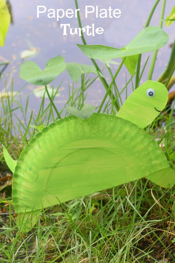 paper plate turtle