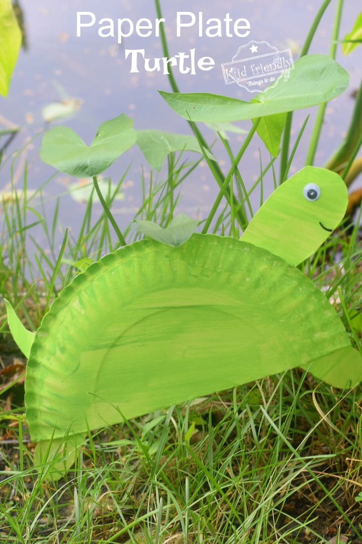 paper plate turtle craft 