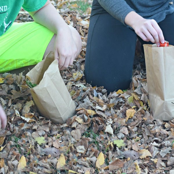 leaf pile hunt a fall and Thanksgiving game