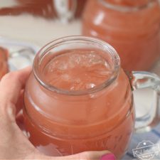 https://kidfriendlythingstodo.com/wp-content/uploads/2021/04/DSC_0092-1-ice-tea-punch-summer-drink-225x225.jpg