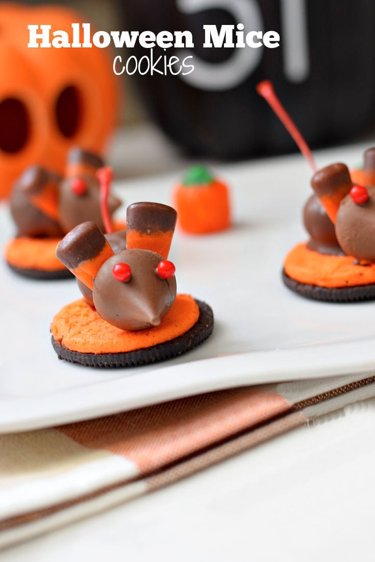 Halloween mice food party treat