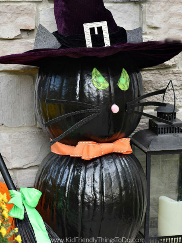 No-Carve Black Cat Pumpkin – Story