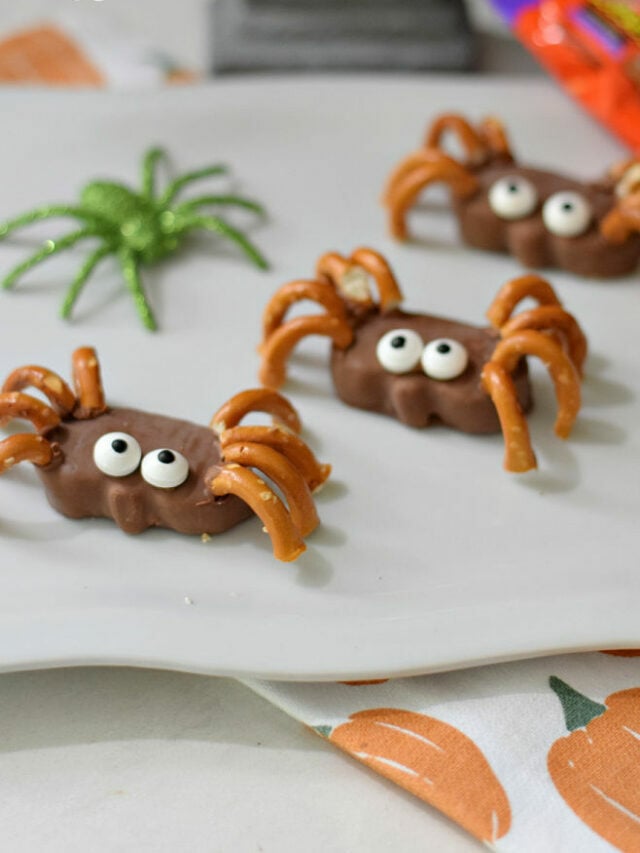 Reese’s Pumpkin Spider Halloween Treats – Story