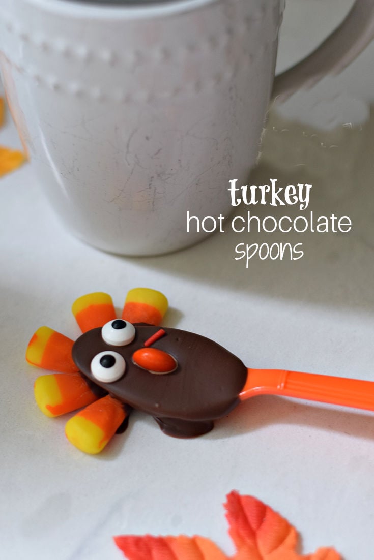 turkey hot chocolate spoon