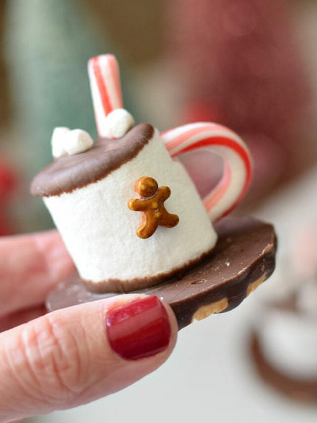 Marshmallow Hot Chocolate Mug Cookies – Story