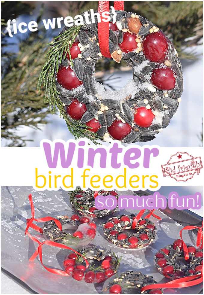 homemade bird feeder for kids to make 