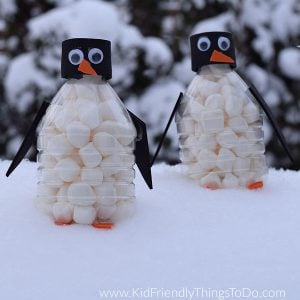 penguin water bottle craft