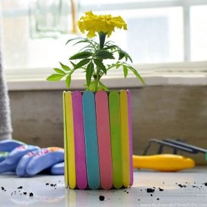 popsicle stick flower pot craft