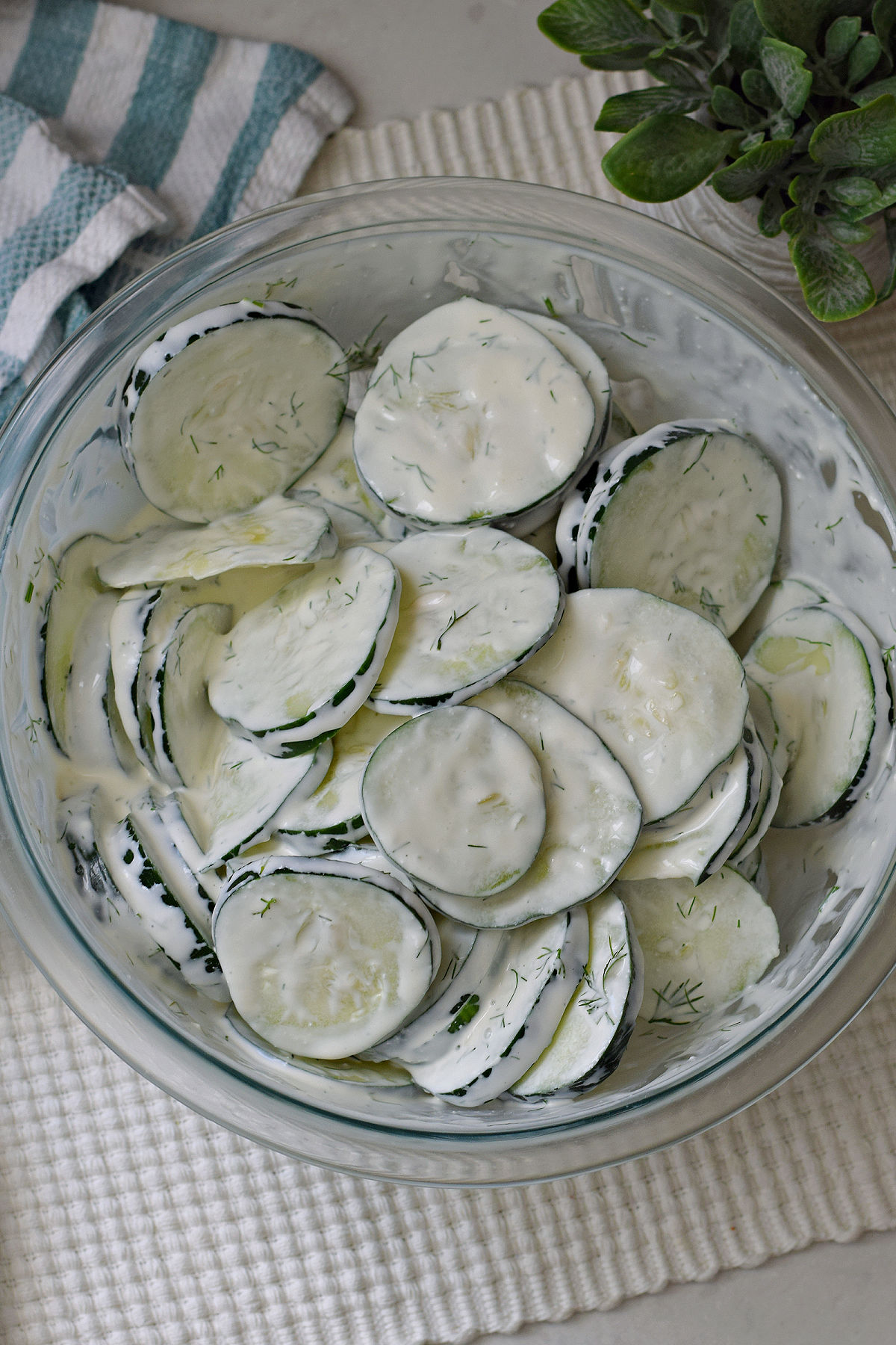 Overhead view of creamy cucumber salad with skin-on cucumber slices coated in dill dressing in a glass bowl.