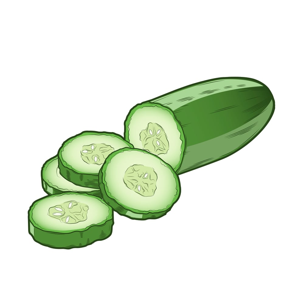 cucumber icon illustration