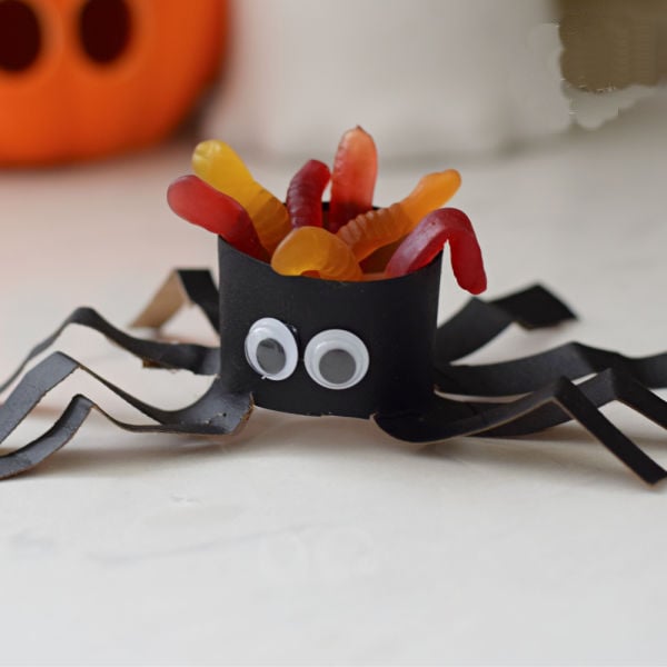 toilet paper tube spider craft