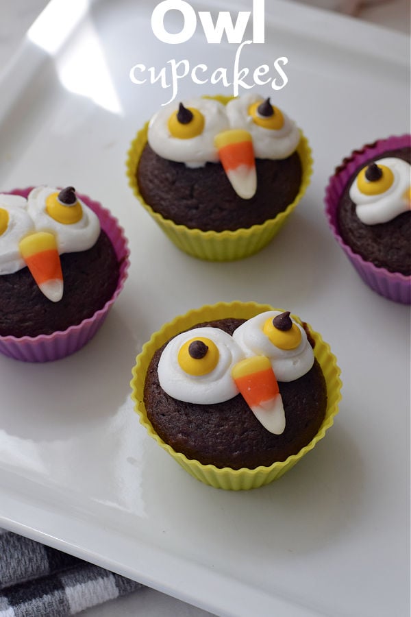 owl cupcakes for fall treats 