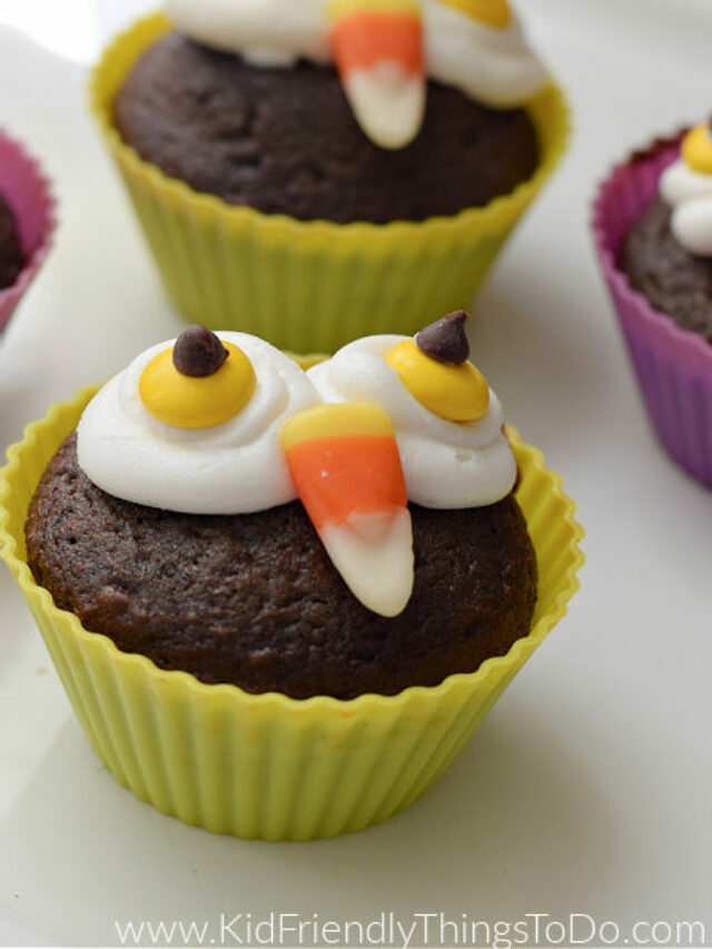 Owl Cupcakes – Story