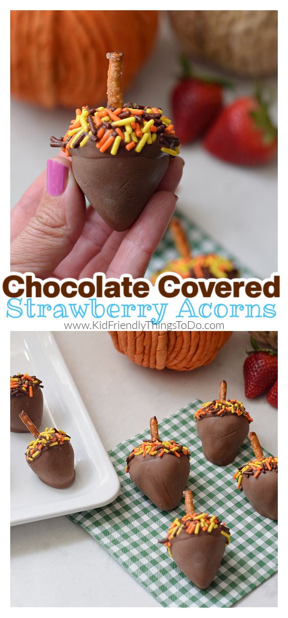 chocolate covered strawberry acorns 