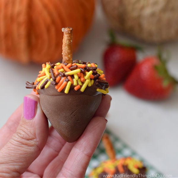 Read more about the article Chocolate Covered Strawberry Acorns