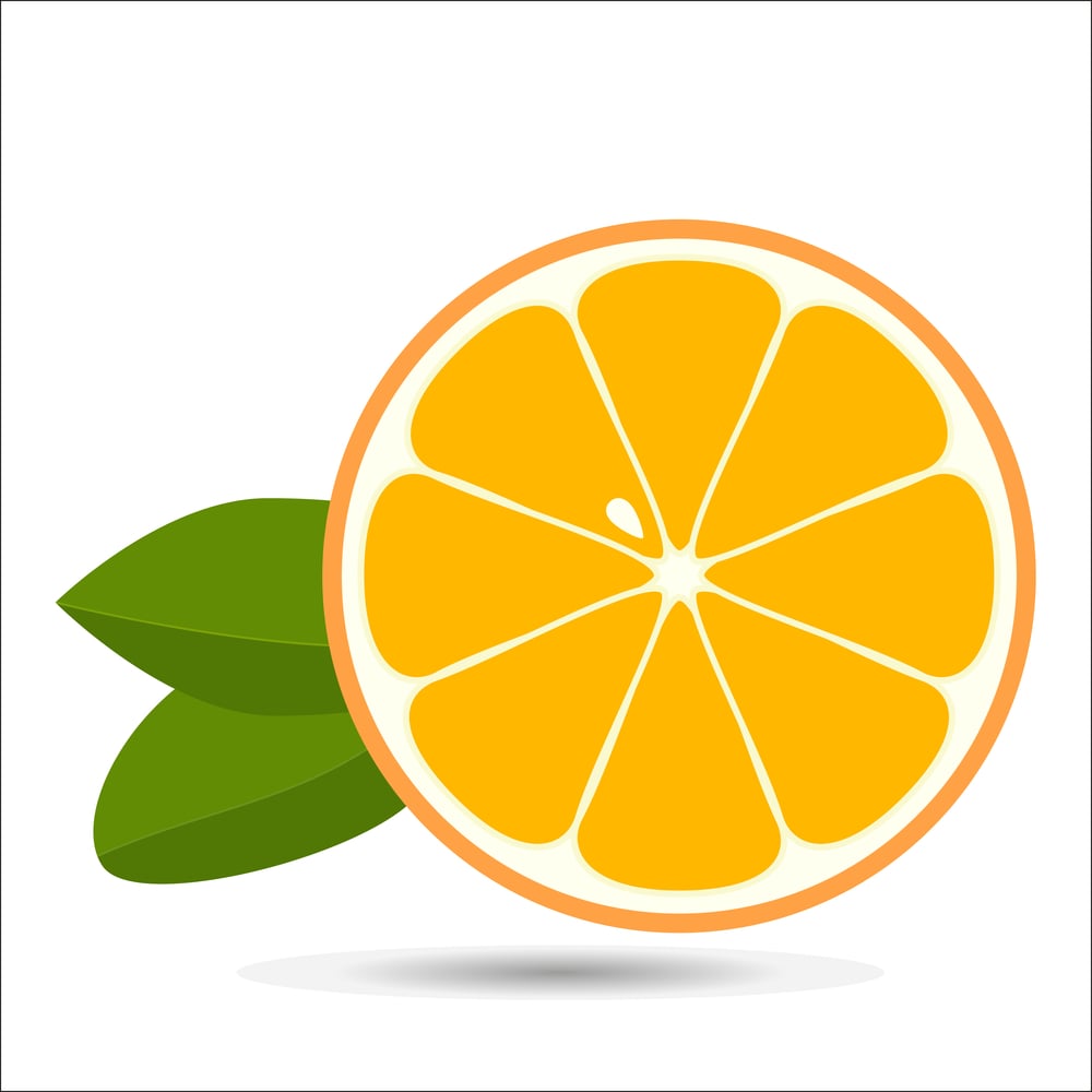 orange illustration in color