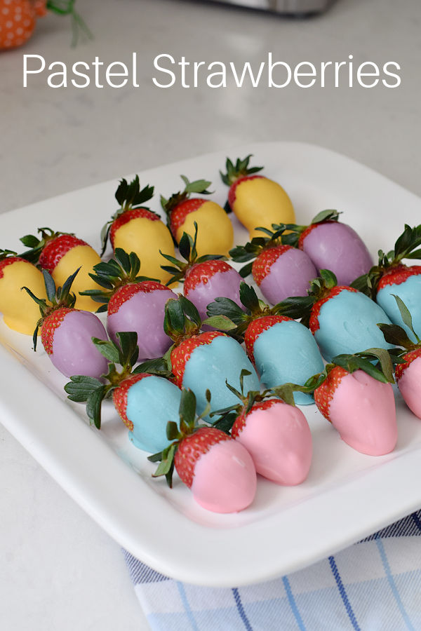 pastel chocolate covered strawberries