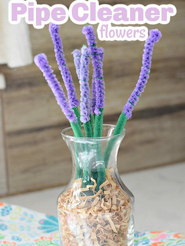 Easy Pipe Cleaner Flowers – Story