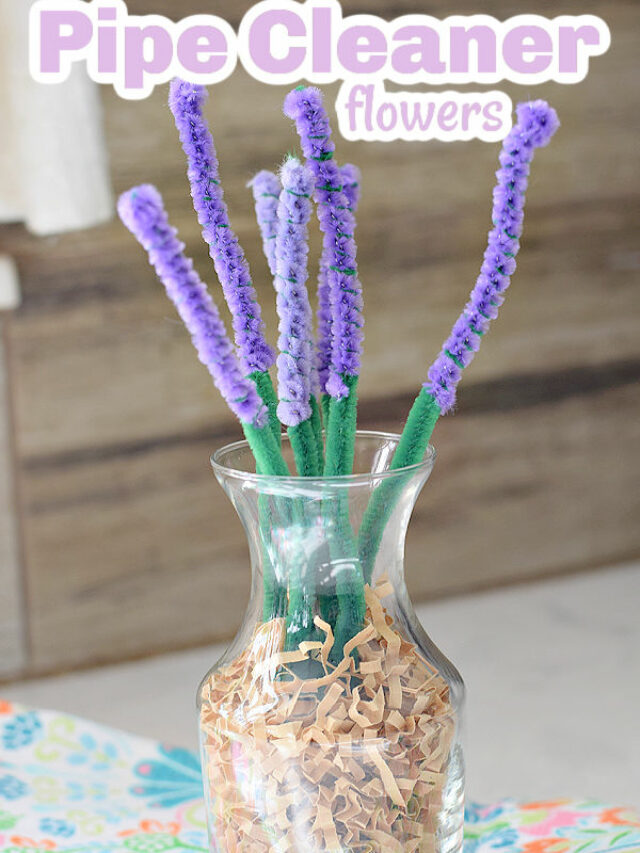 Easy Pipe Cleaner Flowers