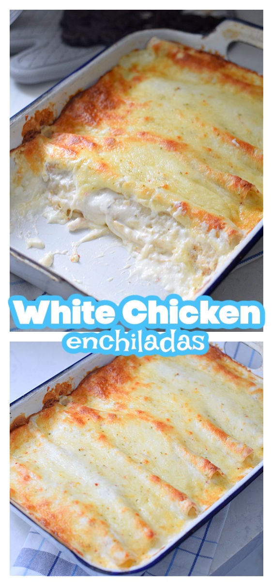 white chicken enchiladas 