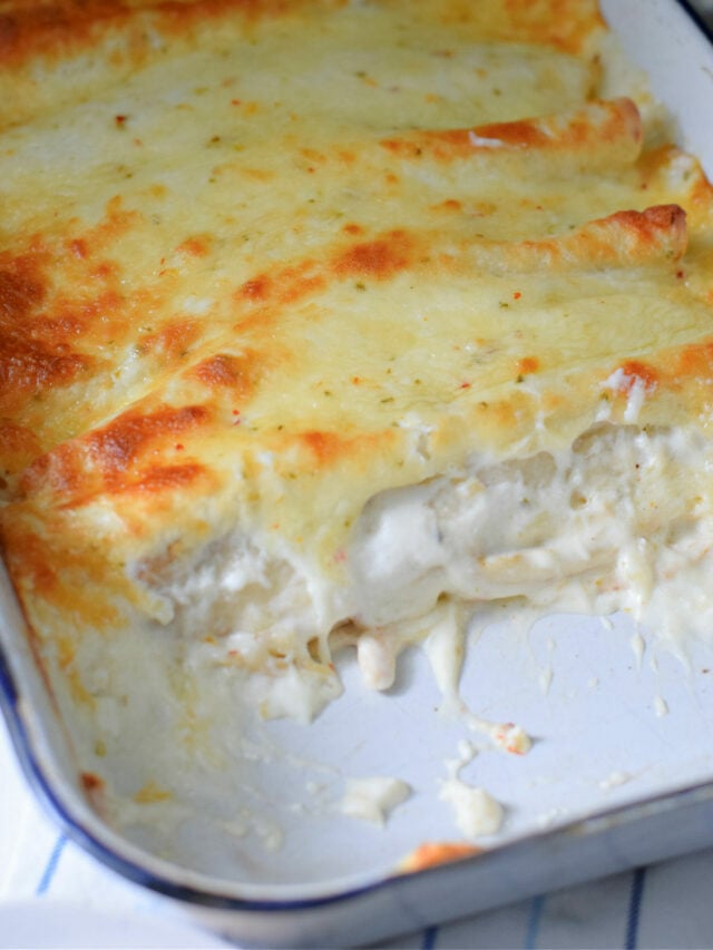 Chicken Enchiladas with Sour Cream Sauce – Web Story