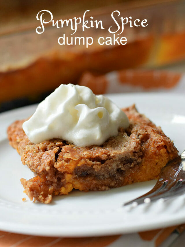 Pumpkin Dump Cake – Story