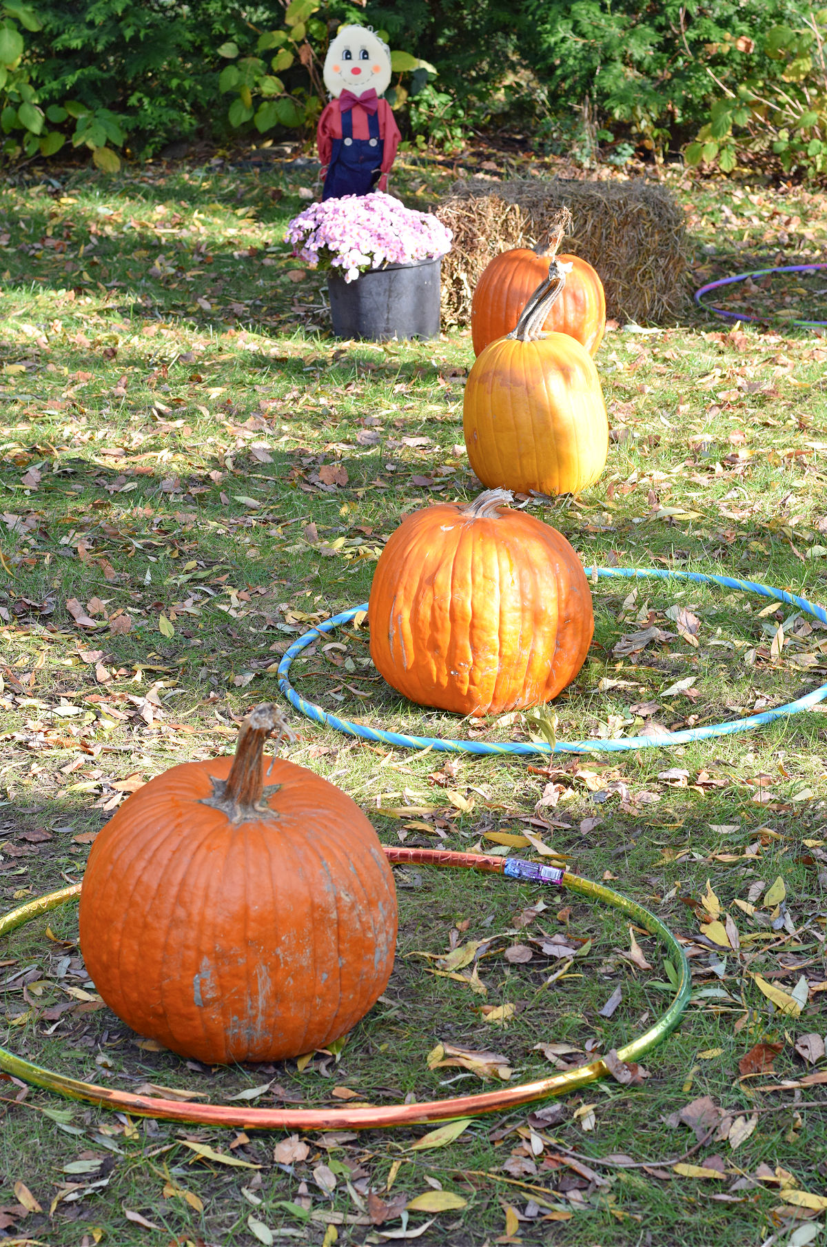 pumpkins in a row game 