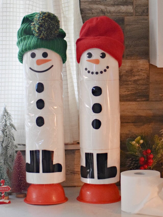 DSC_0028.JPG-snowman-toilet-paper-counter-vertical-