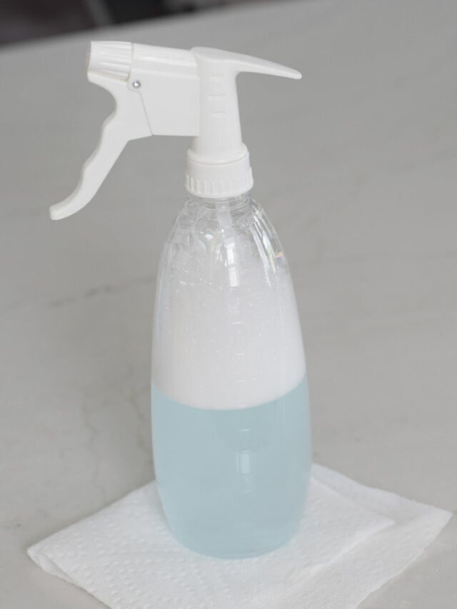 DIY Carpet Cleaner Solution – Story