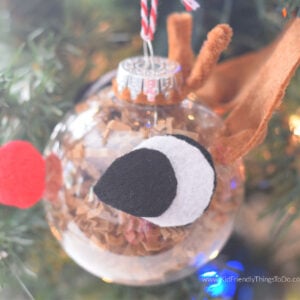 DIY Rudolph Ornament to make