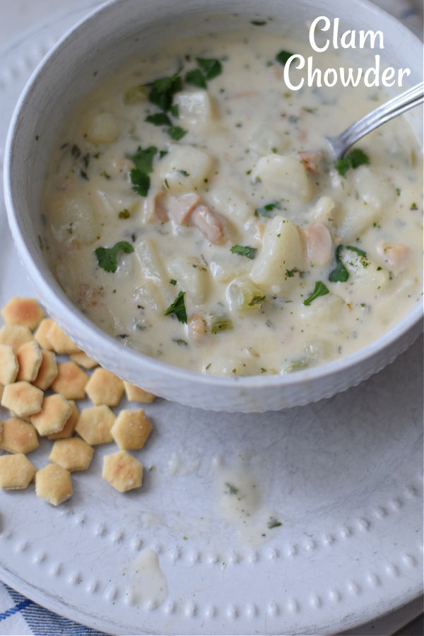 clam chowder 