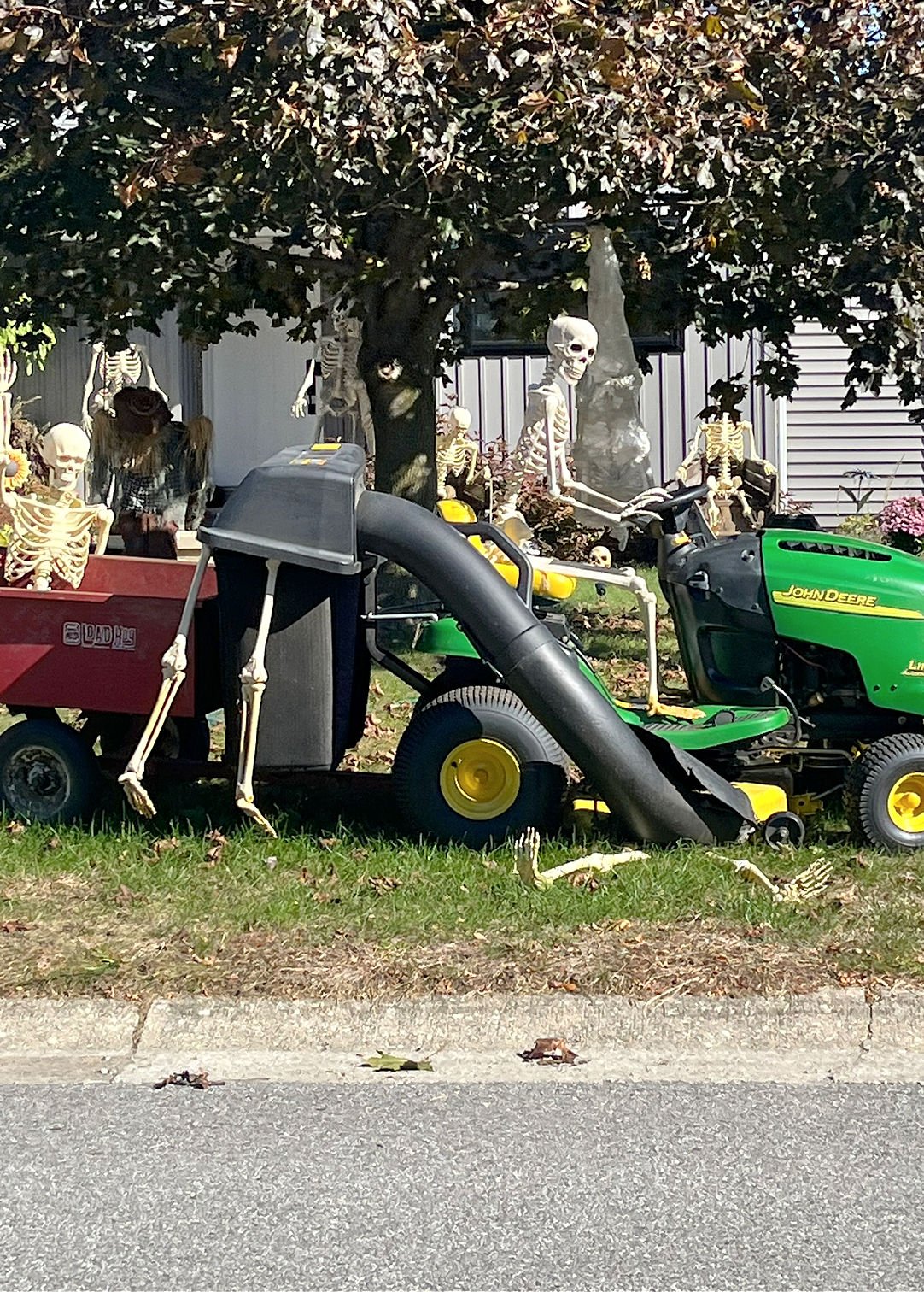 skeleton tractor ride 