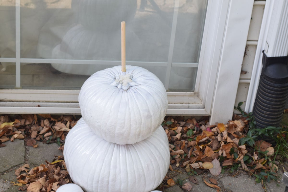 stacking Olaf pumpkins