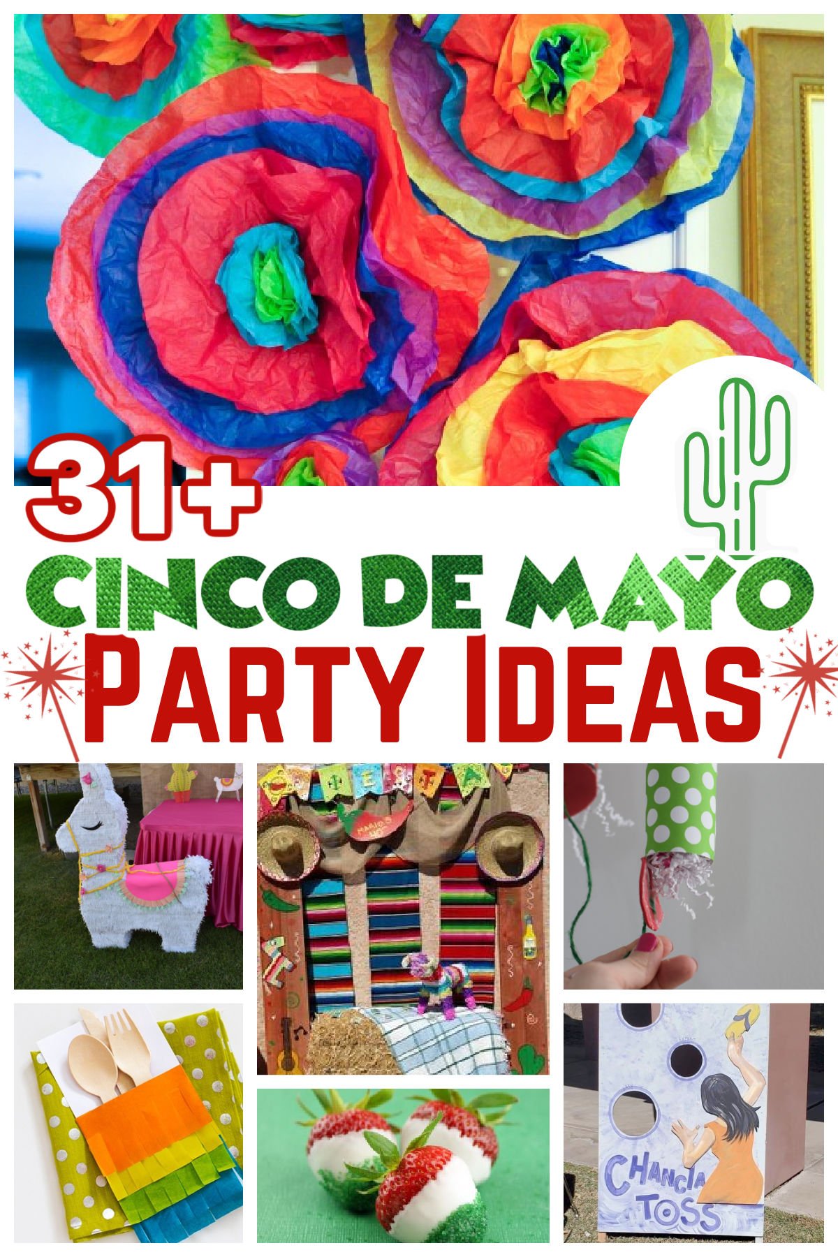Cinco De Mayo party ideas