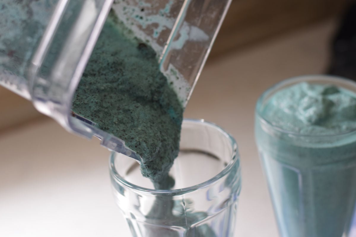 shark milkshake