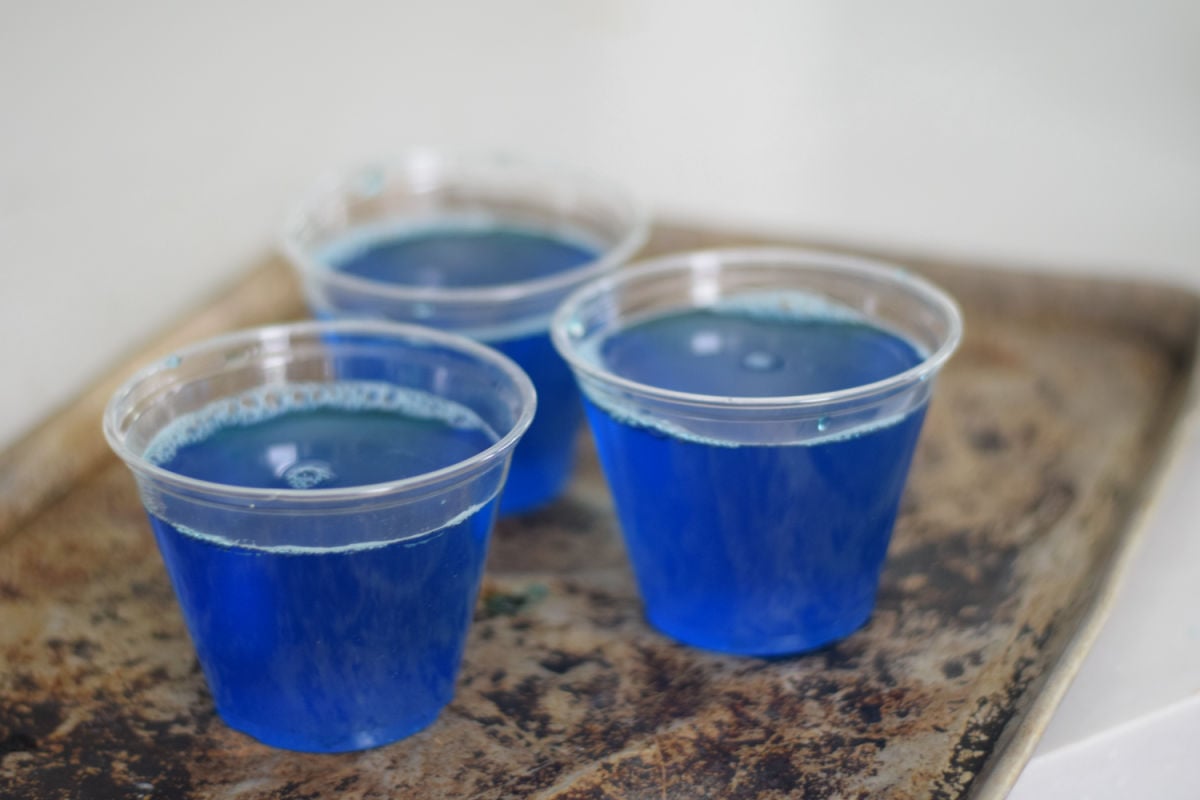 Jello cup snacks